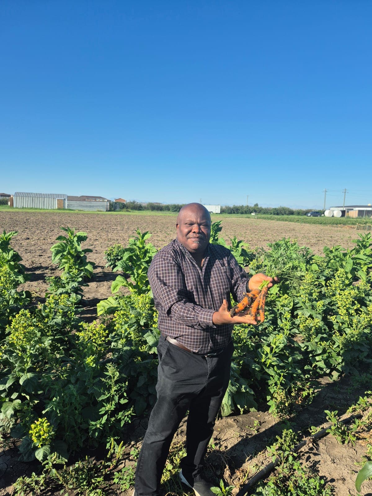 BCFSCC community gallery image 1