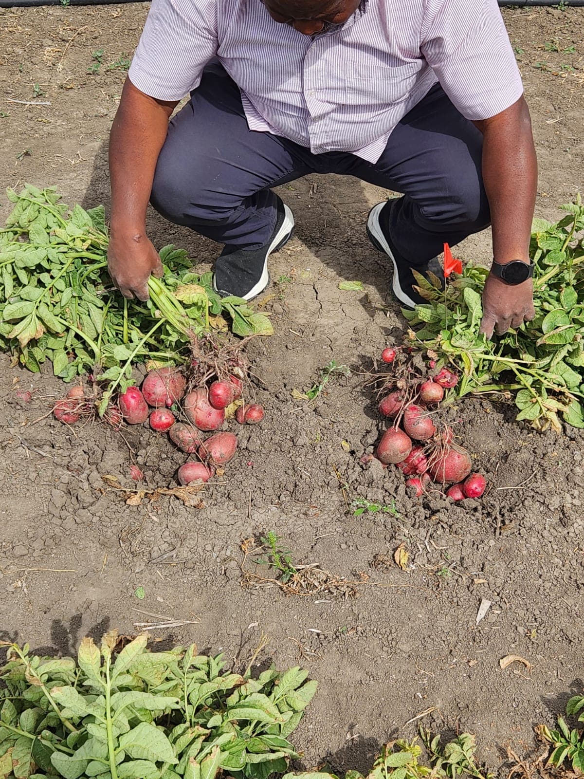 BCFSCC community gallery image 10