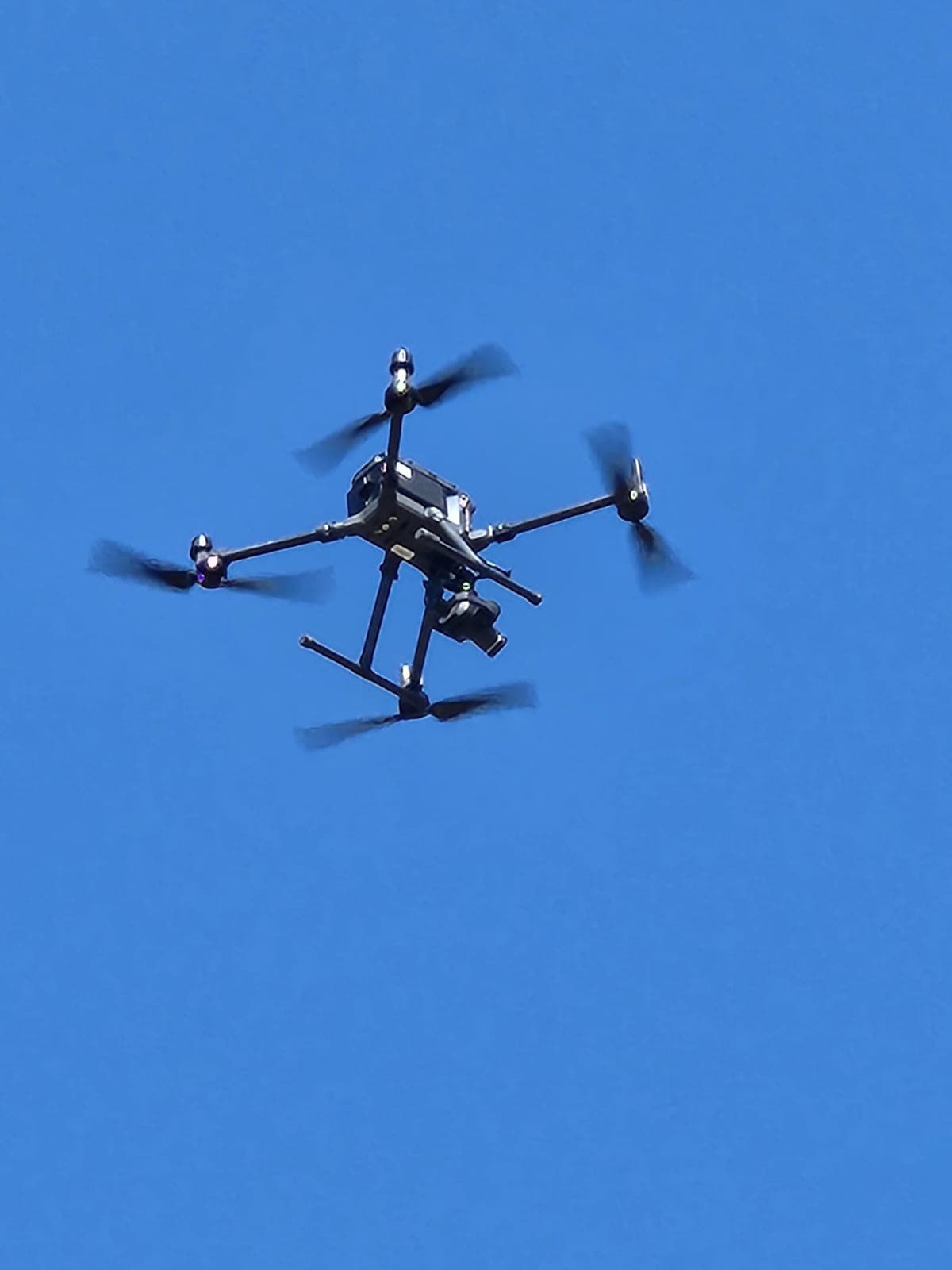 BCFSCC community gallery image 12