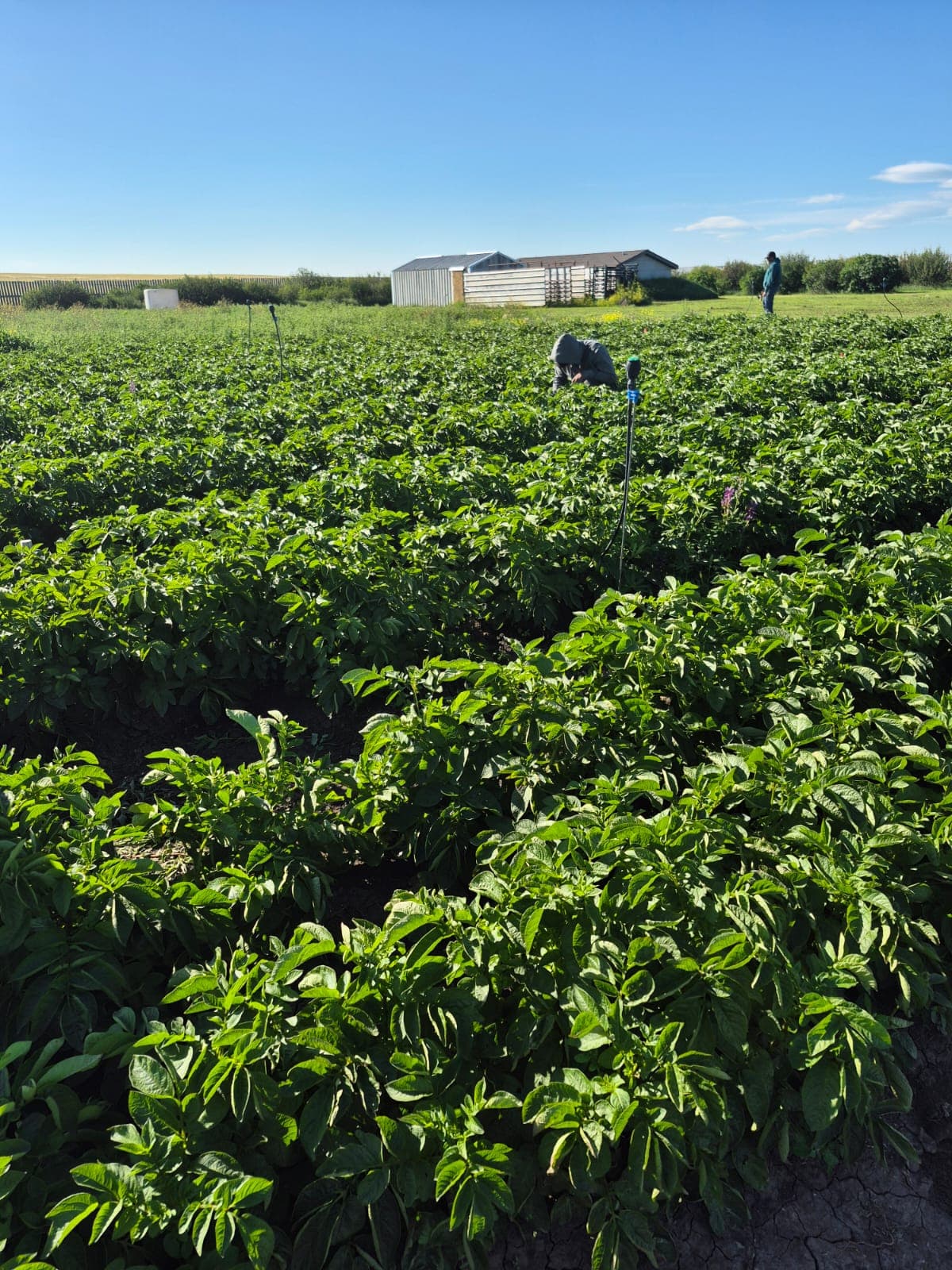 BCFSCC community gallery image 5